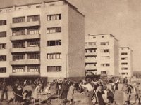 Poljane, Vrbik, 1951. godine